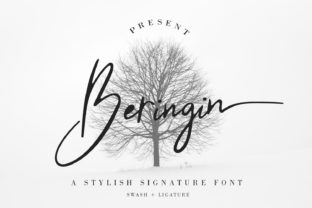 Beringin Script Handwritten Font for Elegant Campaigns