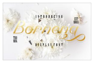 Bornena Script Handwritten Font for Delicate Editorial Design