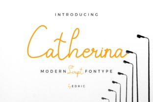 Catherina Font: Bold & Stylish for Business